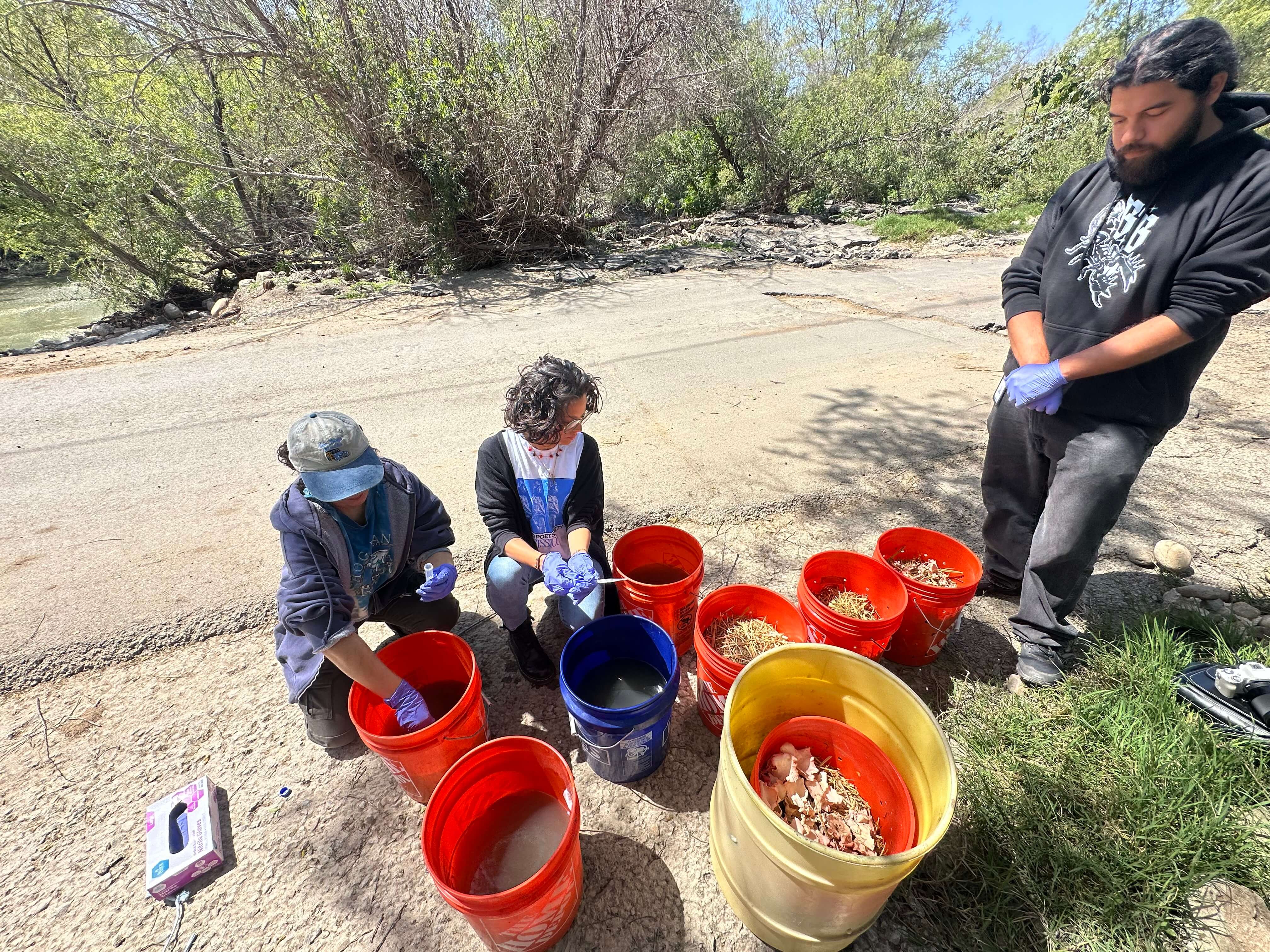 Mycofiltration system working in buckets