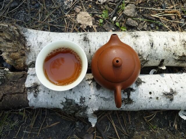 Performance mushroom tea blends
